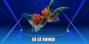 Đá gà Kwin68
