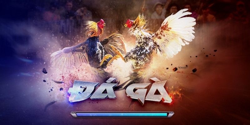 Khái quát về các kèo cược phổ biến có trong trận đấu đá gà tại cổng game