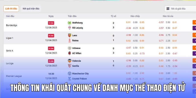 Thông tin khái quát chung về danh mục thể thao điện tử